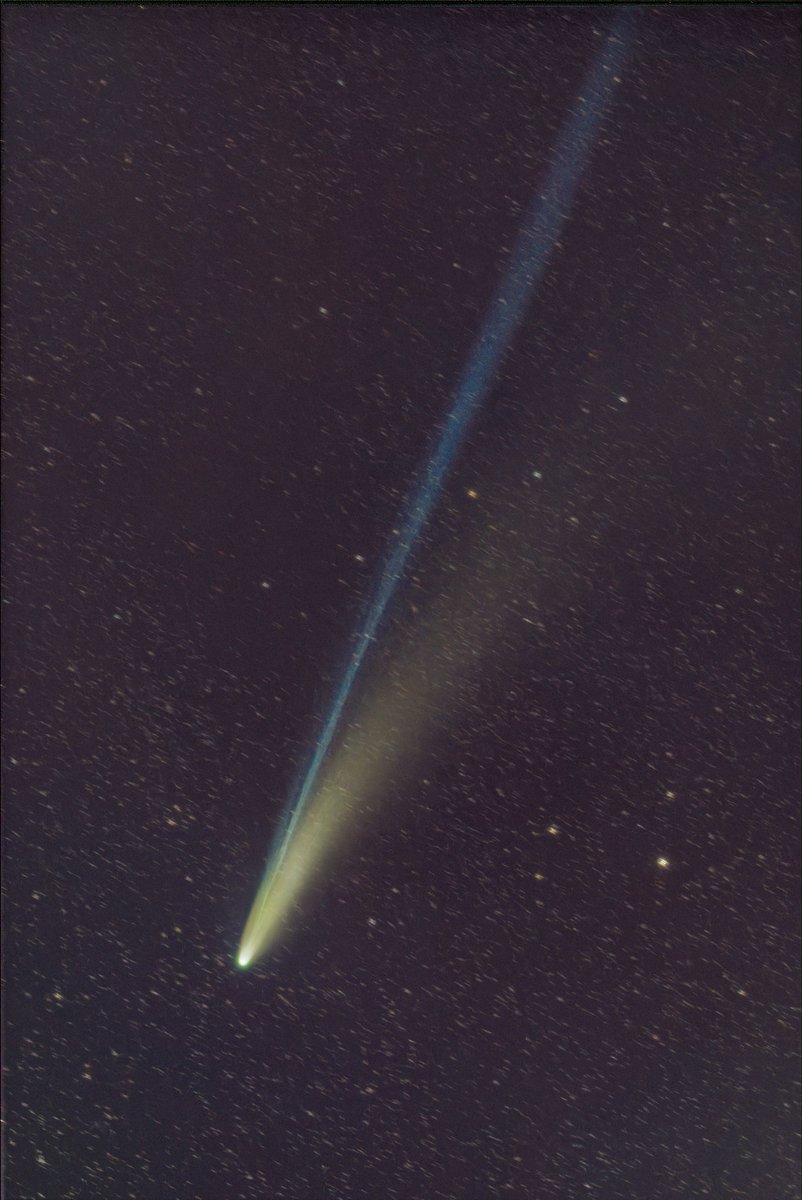 cru1960's tweet image. こちらにもぼちぼちポストして行こうかなと思います
11/7夕方のComet Lemmon(C/2025A6)
ZWO ASI2600MC-P+Redcat51Ⅱ
30秒×60
(右が北）
#c2025a6 #cometlemmon #comet