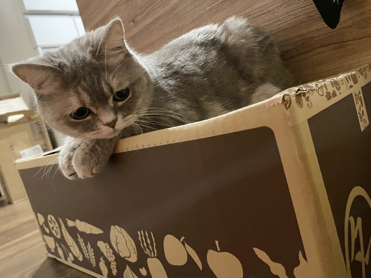 おんぷちゃん🎵 (@onpuhime1011) / Posts / X