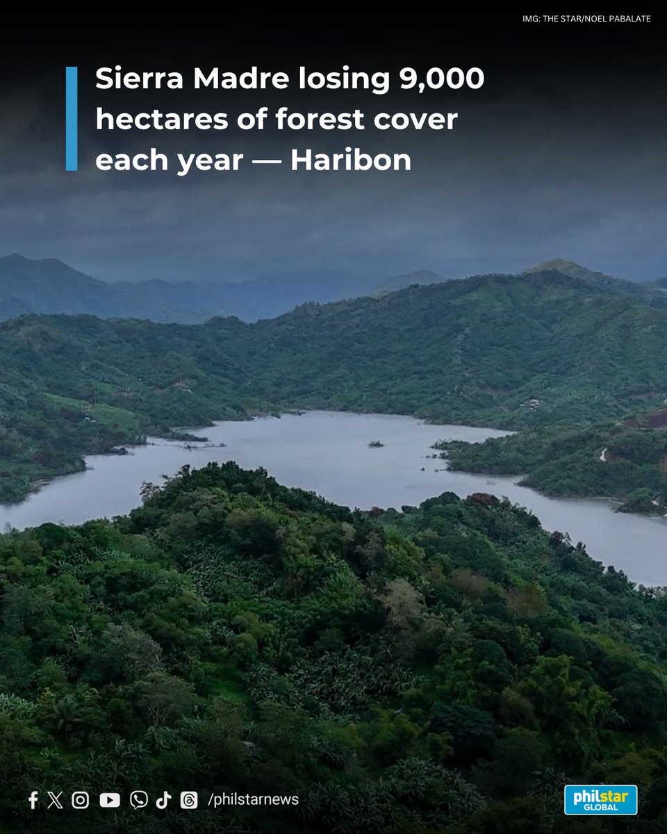 SIERRA MADRE LOSING 9,000 HECTARES ANNUALLY

The Philippines’ longest mountain range, the Sierra Madre, has long served as a natural carbon sink and as Luzon's storm buffer. Despite its environmental significance, the nearly 1.4-million-hectare forest is disappearing at a rate of