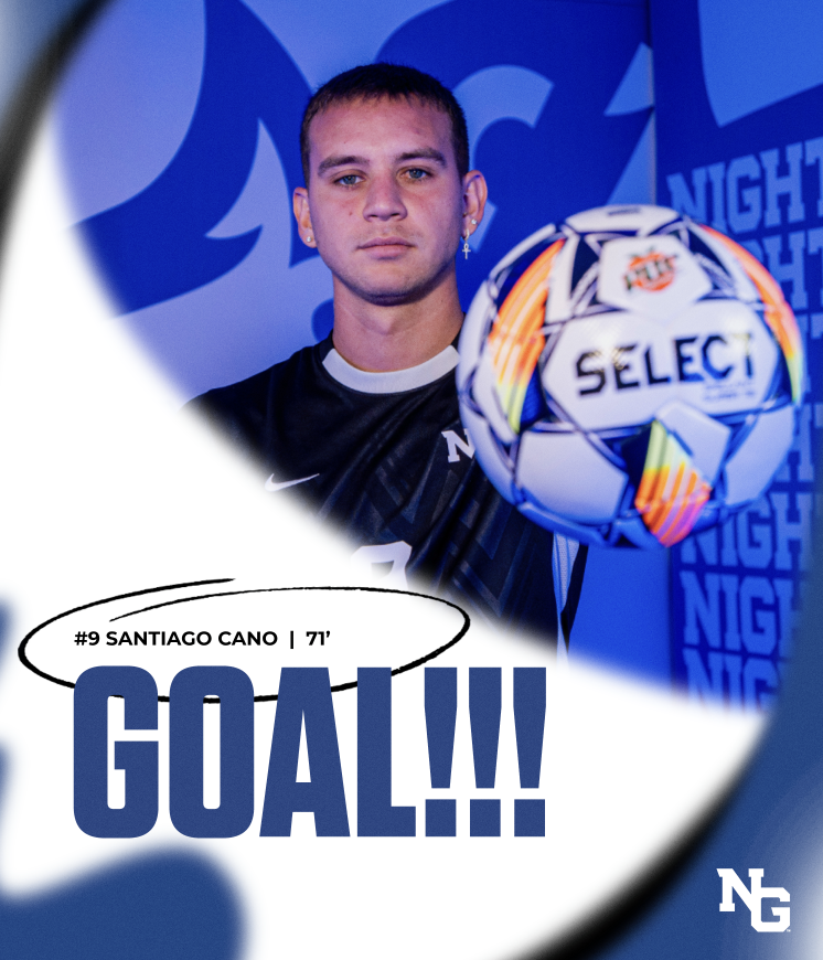 CAN'T STOP THE NIGHTHAWKS!!