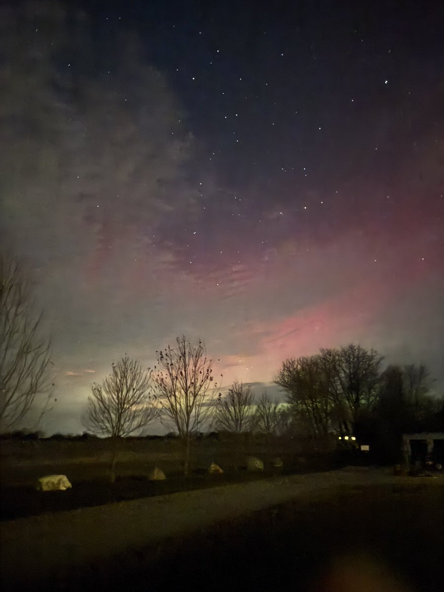 Hawkerella tweet media