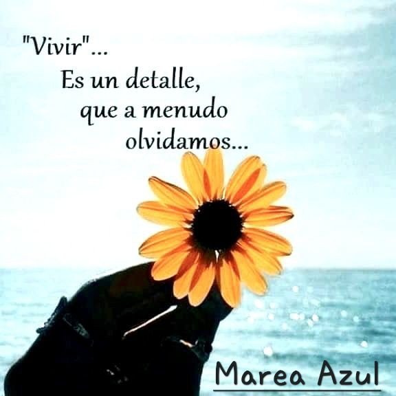 <a href="/Fugaz_2/">Fugaz (M.c)</a> <a href="/IntrigaMax/">Intriga (M.c)</a> <a href="/Myrtea_1/">Myrtea (M.C)</a> <a href="/DylaneAzul/">Dylane</a> <a href="/AsomadaAlEspejo/">Espejo Azul</a> <a href="/Rogelia50318250/">Rogelia</a> <a href="/arancha2458/">Arancha</a> <a href="/Mariska__6/">Mariska 😎🤍🍀</a> <a href="/macasaga1/">MªCarmen 🫂⚖️🥰</a> <a href="/macasaga2/">M.Carmen 💛🤗🍀</a> <a href="/NT83631763/">N. T</a> <a href="/Mari777Bel/">MARIBEL 🦋🦋☘️🦋🦋</a> <a href="/Azul_MAR0050/">A z U l M a R 💫⭐️💫</a> <a href="/Flor33180171/">Flor</a> <a href="/AnaMemi29/">Any Marea Azul 💙💙💙🌊🌊🌊</a> <a href="/Marisol75752342/">Mari</a> <a href="/AlexandraEsAzul/">Alexandra</a> <a href="/sonajitaplatea/">sonajita</a> <a href="/Gloria26326305/">GLORIA 💙</a> <a href="/Cloe_bailarina/">CLOE</a> <a href="/tuneadora432/">Santa Paciencia</a> <a href="/Objetiva24/">Objetiva</a> <a href="/Madeira_32/">Mirya</a> <a href="/Marimar66842849/">Marimar</a> <a href="/Isla_fantasia2/">Fantasía</a> <a href="/iren67_afroditi/">Iren 67⚖️💧💦🌊💙</a> <a href="/Paquito0003/">Paquito</a> <a href="/Gloriapizzamig1/">Gloria_pizzamiglio</a> <a href="/TalVez57/">Siempre</a> <a href="/Manolito0003/">Manolito</a> <a href="/KaladanBCN/">💦🌊💙⚖️💦🌊💙⚖️💦🌊💙⚖️</a> <a href="/mmloopez/">Maribel Márquez López</a> <a href="/elsa09164082/">elsa</a> <a href="/JulietaSer66074/">Julieta Serrano</a> <a href="/julietaano65/">Julieta Serrano</a> <a href="/Luisa43833694/">EN💙CONTRA💦DE💙LAS💦INJUSTICIAS</a> <a href="/NT40912409/">NT</a> <a href="/Aterriza62_1/">Aterriza62</a> <a href="/Lanzar25/">Lanza</a> <a href="/Aterriza62/">Angela</a> <a href="/mamaripoll/">María Ripoll🦉🦉🦉🎸🎤🏀👩‍❤️‍👩</a> <a href="/mcg_mlg/">Maria del Carmen Gomez Miranda</a> <a href="/FuerzaMareaAzul/">LaMareaNoSeRinde</a> <a href="/PaulaO2005/">Paula</a> <a href="/SilviaM74666942/">Silvia Mónica 🌊 🌊 🌊 ⚖️</a> <a href="/Teresa84977979/">Teresa</a> <a href="/Nora048367251/">Nora 💙💙💐</a> <a href="/Guagua333344/">yayo123</a> 🌊 #YoMeRebelo13N
#YoMeRebelo14N💪💙
✔️"𝑱𝒂𝒎á𝒔 𝒅𝒆𝒋𝒆𝒔 𝒒𝒖𝒆 𝒍𝒂 𝒎𝒆𝒛𝒒𝒖𝒊𝒏𝒅𝒂𝒅 𝒉𝒖𝒎𝒂𝒏𝒂, 𝒒𝒖𝒆 𝒔𝒆ñ𝒂𝒍𝒂 𝒚 𝒄𝒐𝒏𝒅𝒆𝒏𝒂, 𝒕𝒆 𝒅𝒊𝒈𝒂 𝒄ó𝒎𝒐 𝒅𝒆𝒃𝒆𝒔 𝒔𝒆𝒓." 💙  
#CarlotaDictadora