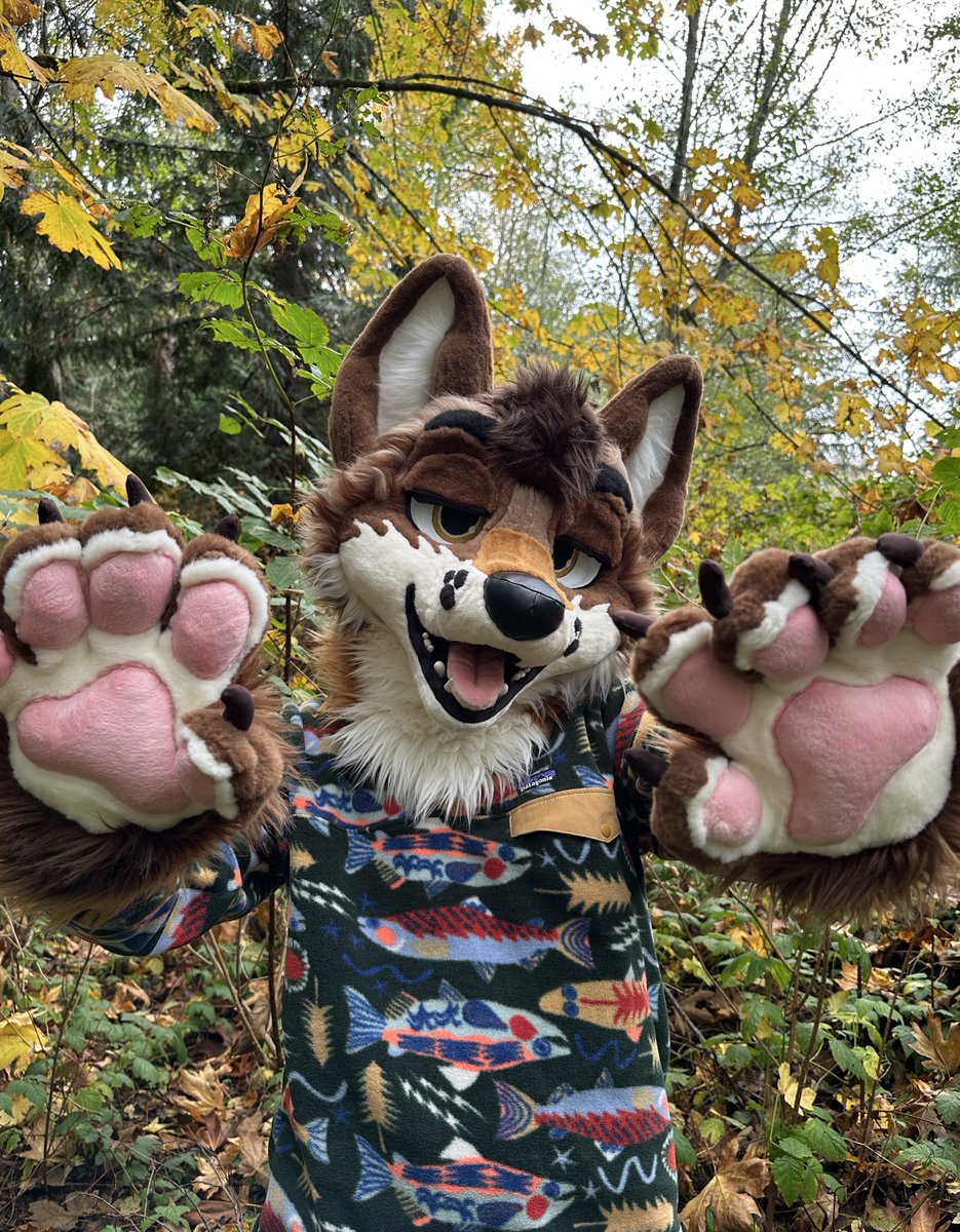 lookacoyote's tweet photo. Finally got my paws on a cute fleece🫰 https://t.co/mCgVgwnUg8