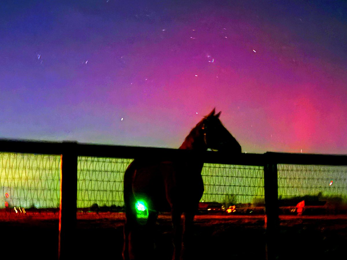 S_EckhardtTV's tweet image. My evening. How is yours going?    Northern Lights in Seymour IN at Swifty Farms.   @WLKY
