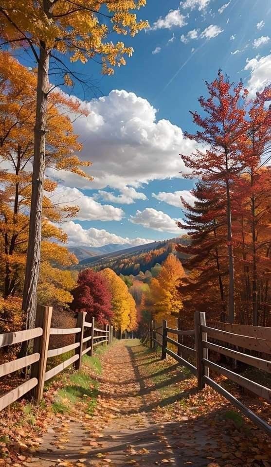 raducu_nicoleta's tweet image. 🍂⛅🍂Good morning 🍂⛅🍂