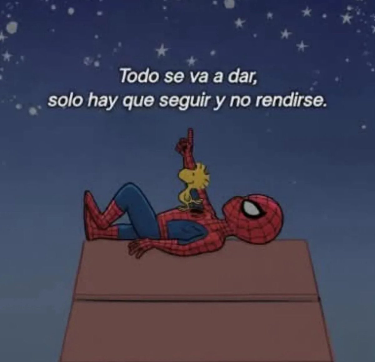 Cristian Rey tweet media