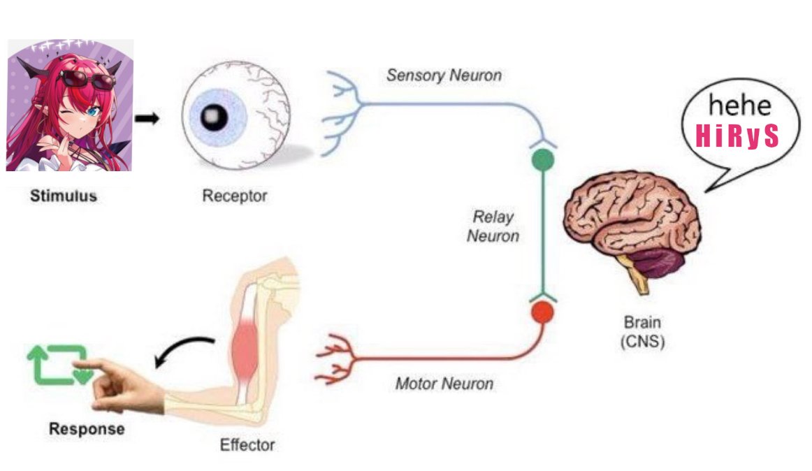 Straw (@rentalbully) on Twitter photo 
