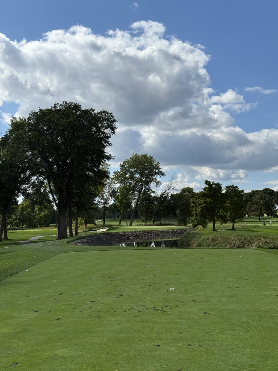 Hogan Hansen tweet media