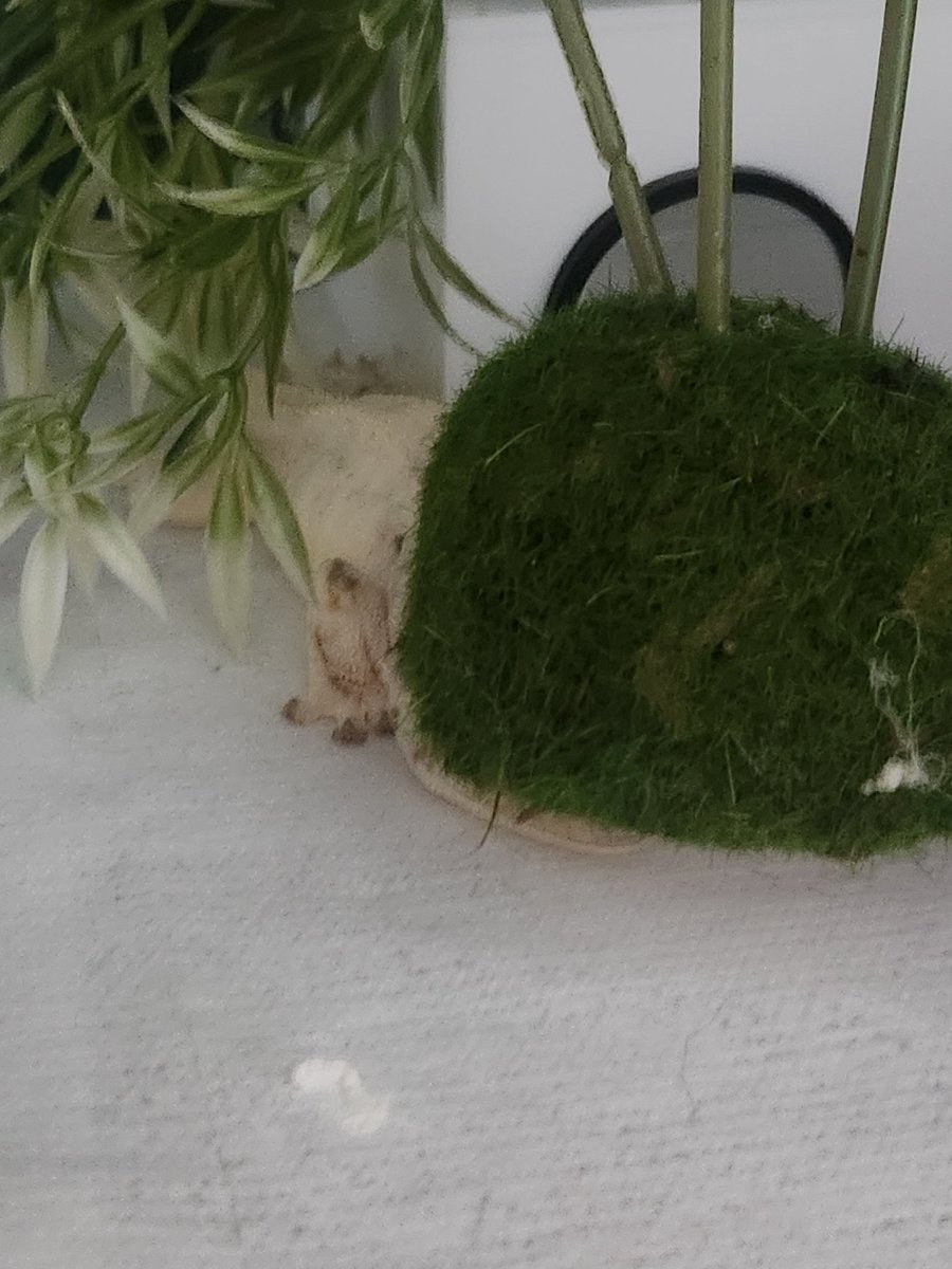 나는 너를 진짜.모르겟다