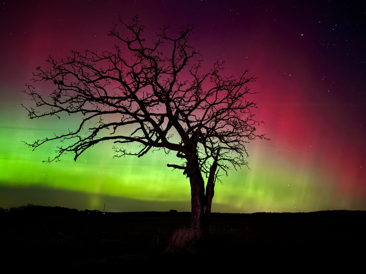 Logan Parham tweet media