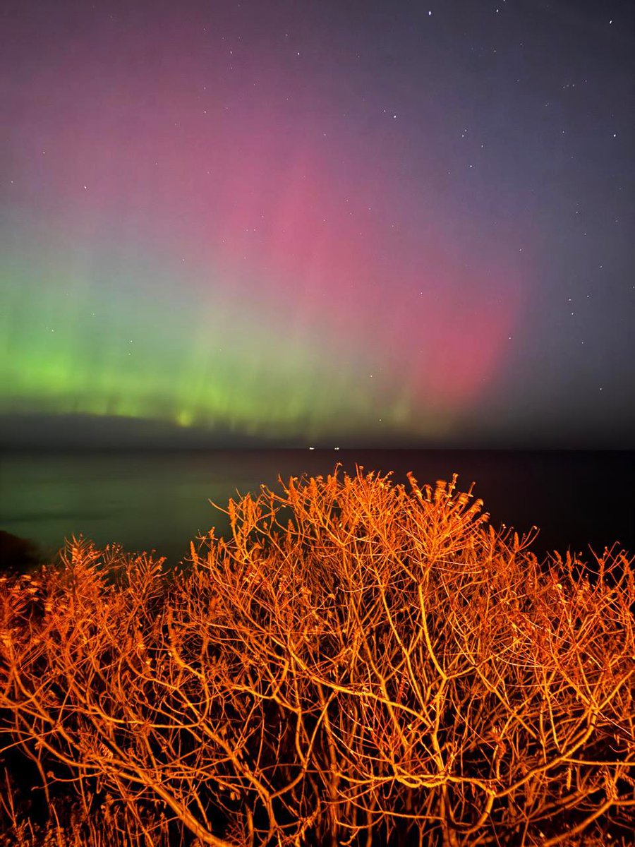 SnapOut_Math's tweet image. Ainda sem crer que consegui ver a aurora boreal 🥹♥️