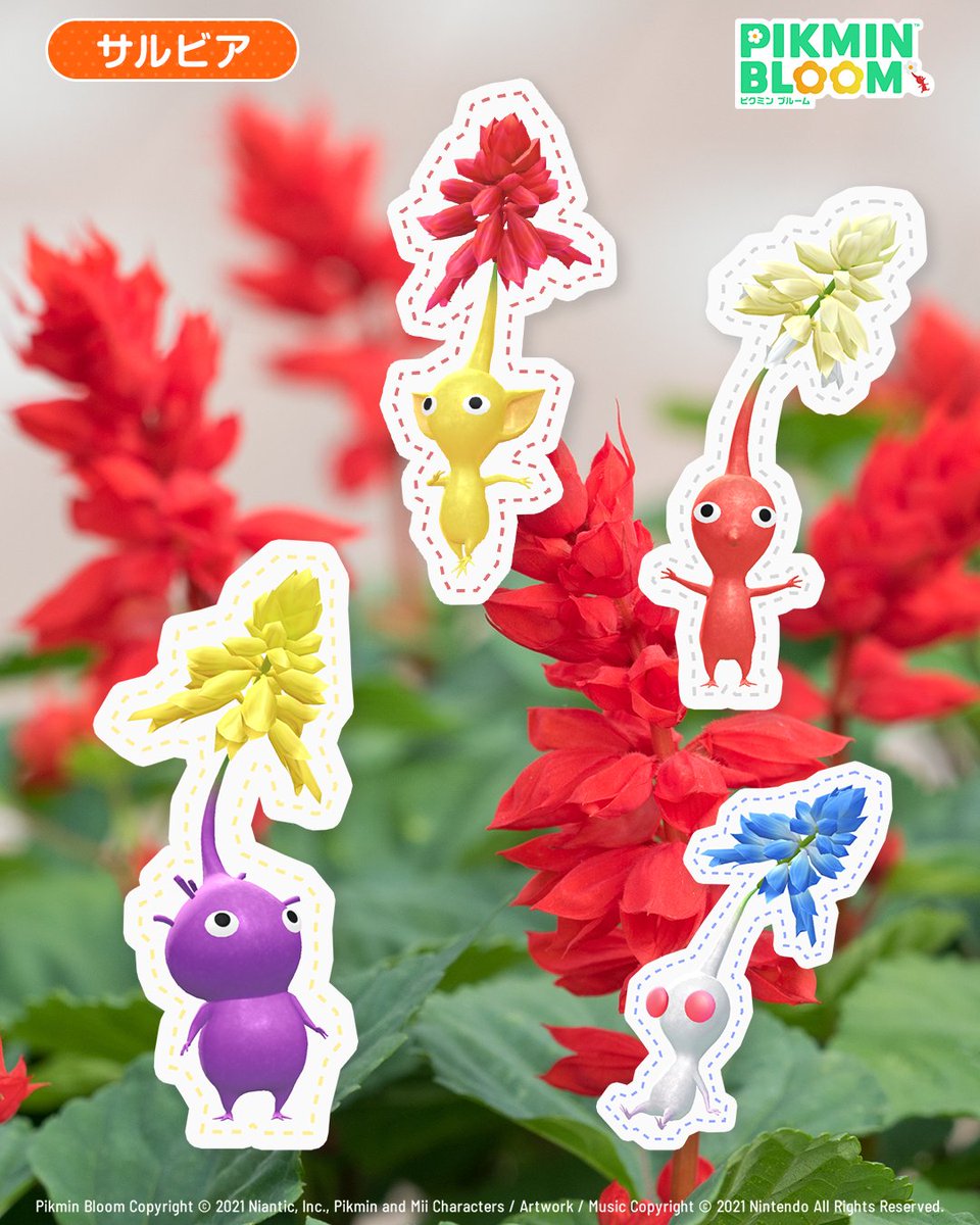 Pikmin Bloom Japan │ ピクミンブルーム (@PikminBloom_jp