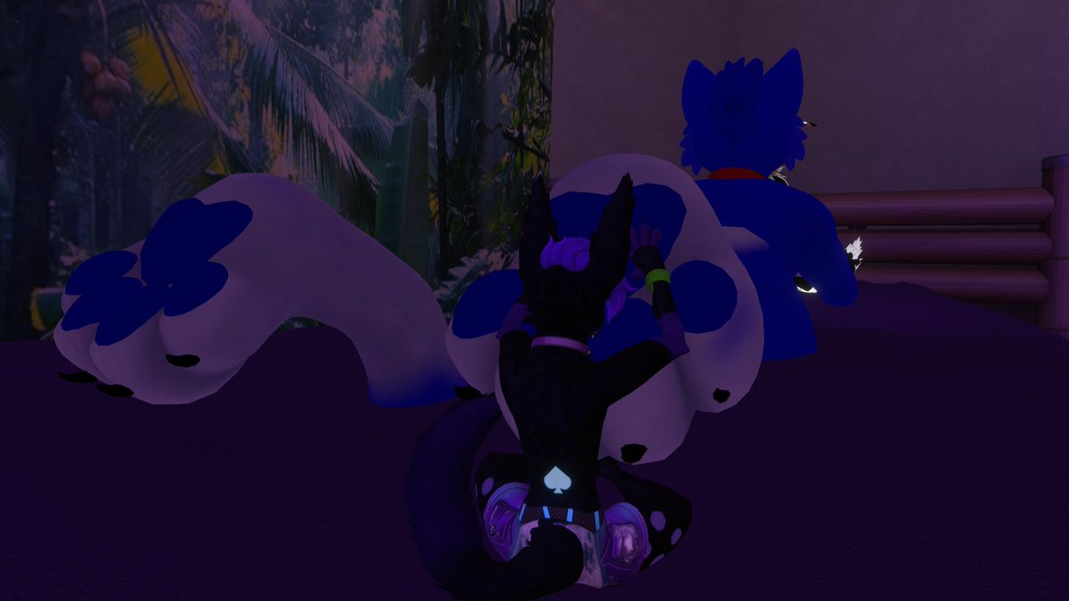 Heh, look there! It's kitty cake. Anyone interested? x3
<a href="/MicahTheCatto/">Micah</a> is comfy...where? Well you tell me, mhm? You dirtyminded bean - ofc I meant laying on the belly x]]]

#paws also soft~