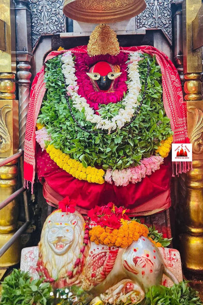 जय माँ विन्ध्यवासिनी 
आज 13-11-2025 गुरुवार, नवमी तिथि को माता का प्रातःकालीन मंगला आरती दर्शन