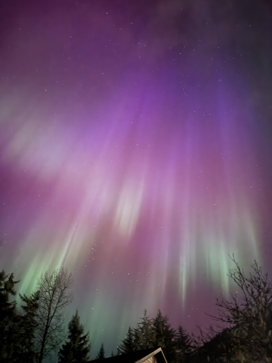 chihiropierce's tweet photo. Aurora in Juneau tonight! 
Northern lights over Juneau right now! 💚 https://t.co/WpXaws3OIb