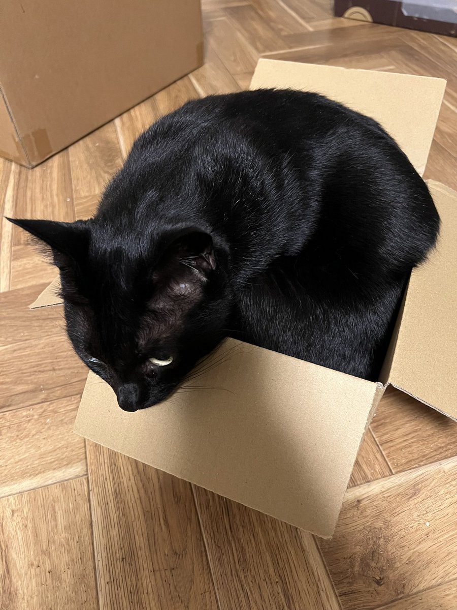 HiRO 𝕏 Sincerity Works Co. Ltd. tweet media