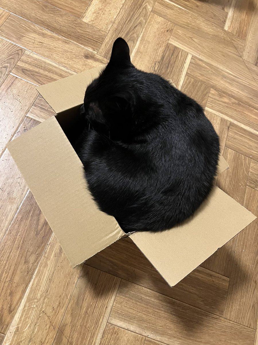 HiRO 𝕏 Sincerity Works Co. Ltd. tweet media