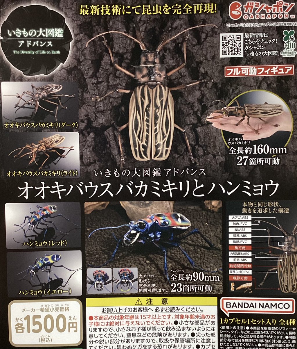 🆕11月13日(木)再入荷情報🆕 🐼いきもの大図鑑アドバンス オオキバ