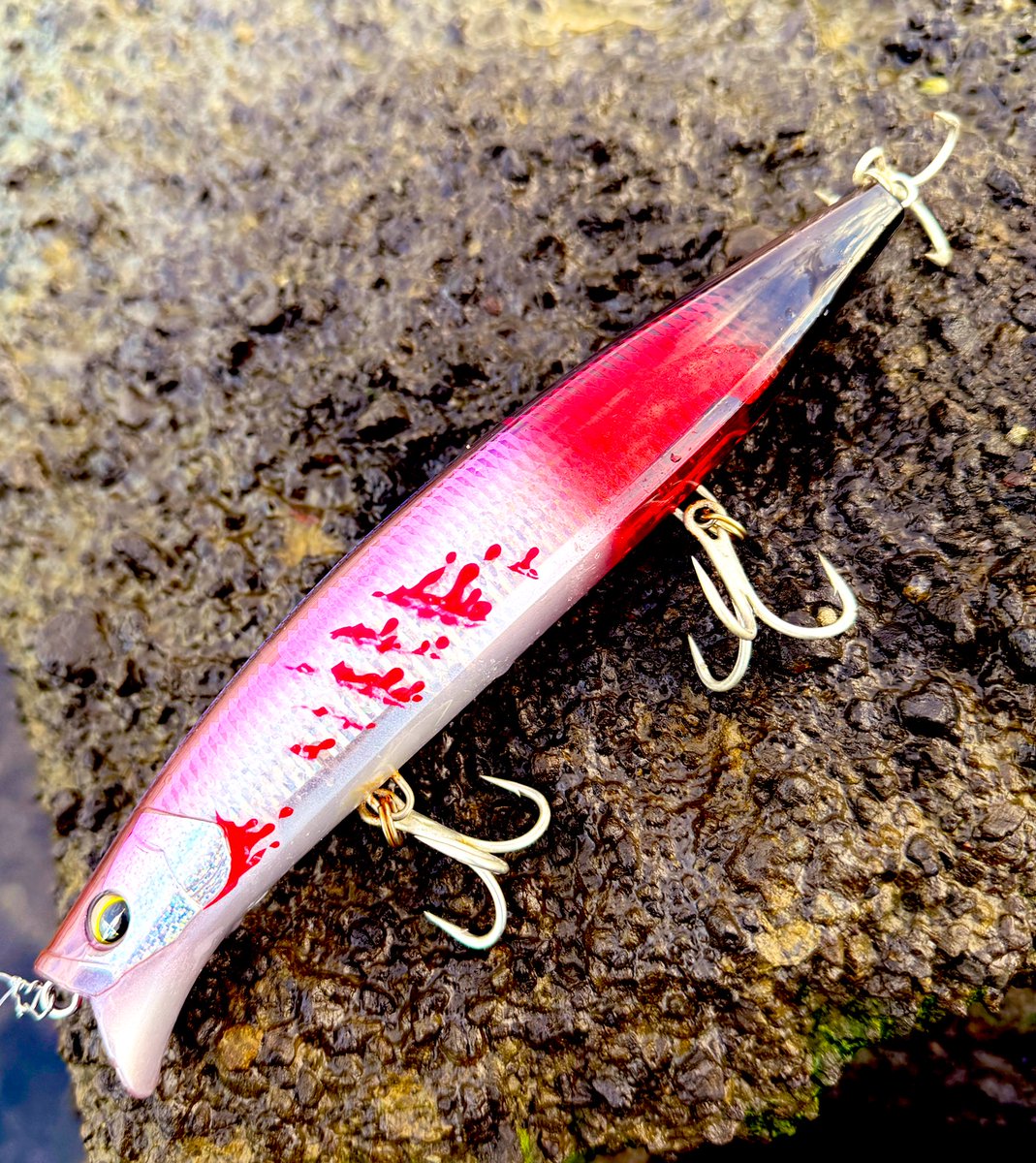 11月23日（日）徳島で開催される
第3回 いはら釣具ソルトフェスティバル2025 にて、
デュエル「SBウェイク165F」 を先行・数量限定で発売します！

当日は私も会場におります。
ご来場お待ちしております🫡

■ 会場
いはら釣具 小松島店 駐車場

■ 時間
10:00〜15:00

※写真はプロトルアーです