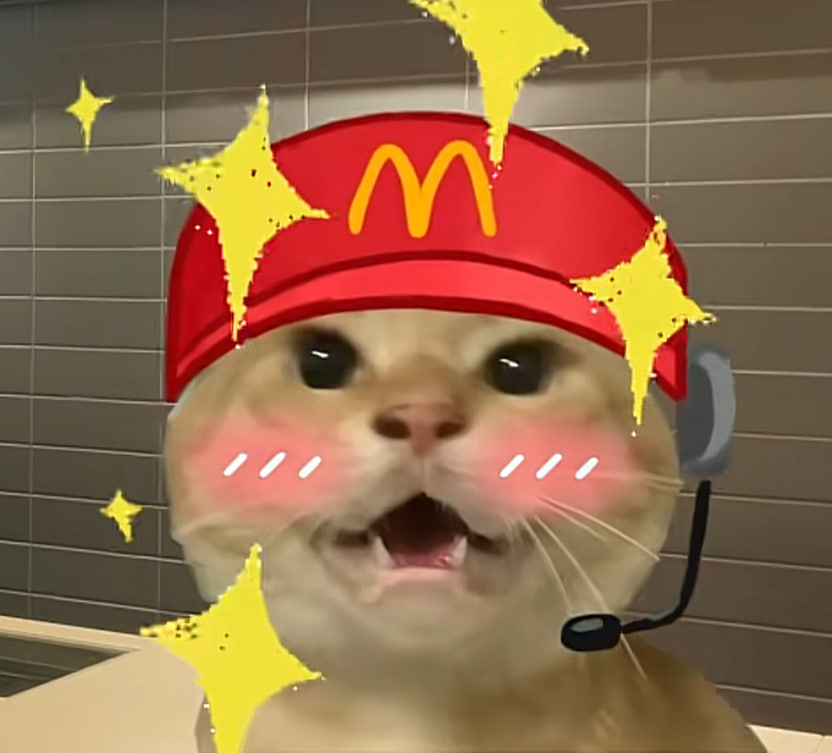 哈基米 tweet media