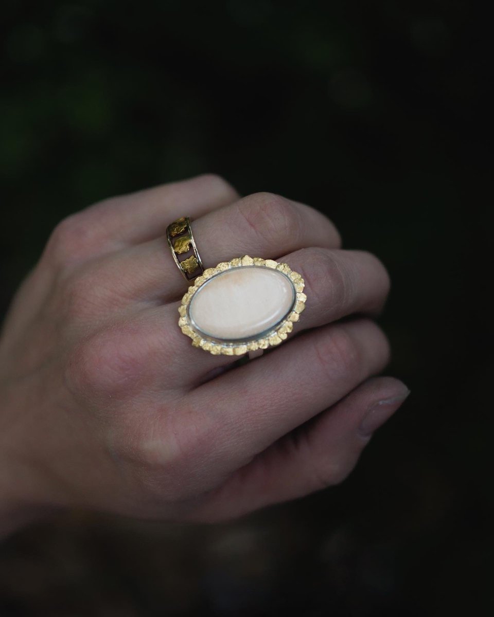 ilaura longley tweet media