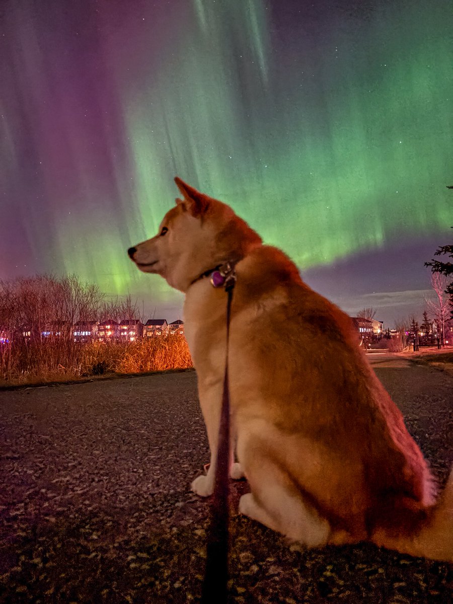 Mark Smith tweet media