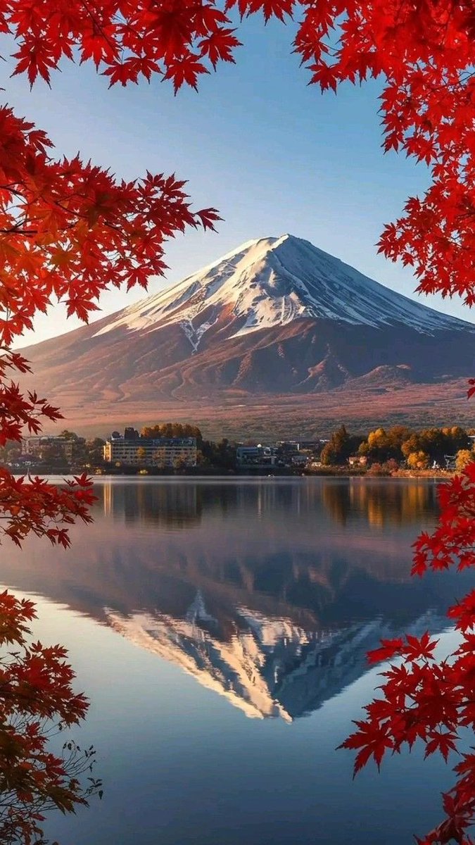 Good Morning 
Have a Wonderful Day 

(Japan,📷 Pinterest)