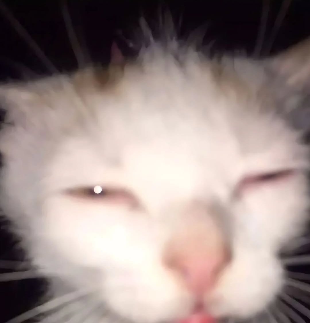 dooomlet's tweet image. How I be looking at Aditya Kaul’s and Sidhant Sibal’s accounts first thing in the morning