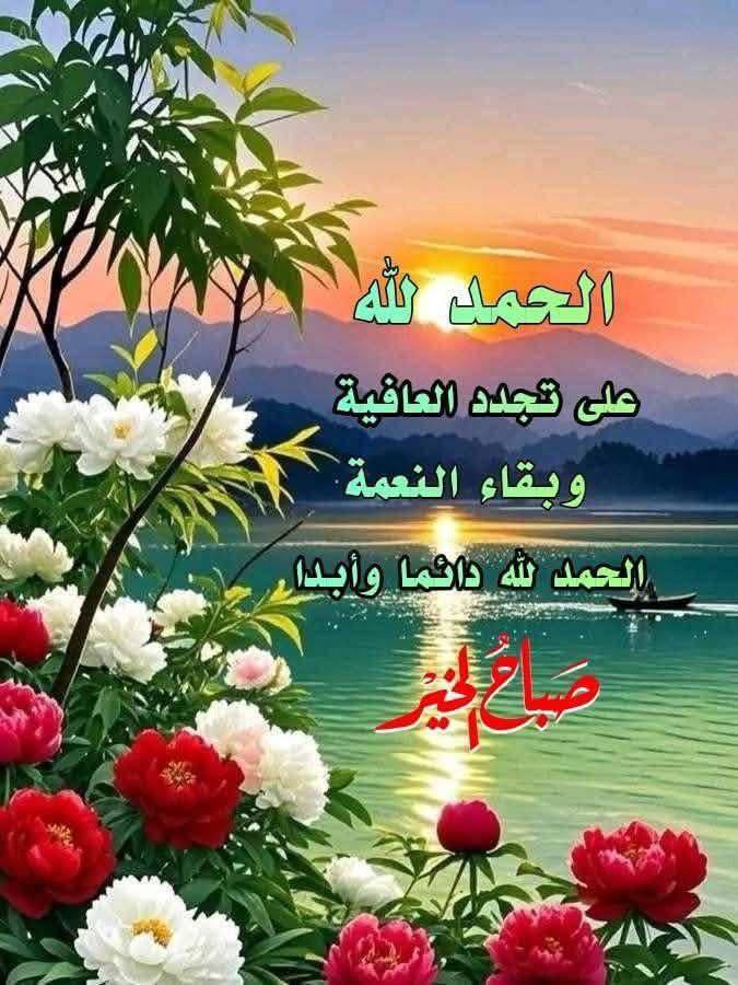 sultan___8989's tweet photo. *🤲🏻اللهم جمّل صباحنا🤲🏻*
*بذكرك وعفوك وتوفيقك وبركاتك ورضاك عنّا* *اللهم بك أصّبحَنا وعَليْك توكلنا وأنت خير الحافظين*
*🌹صباح الخير 🌹* https://t.co/tBfSyUQuRP