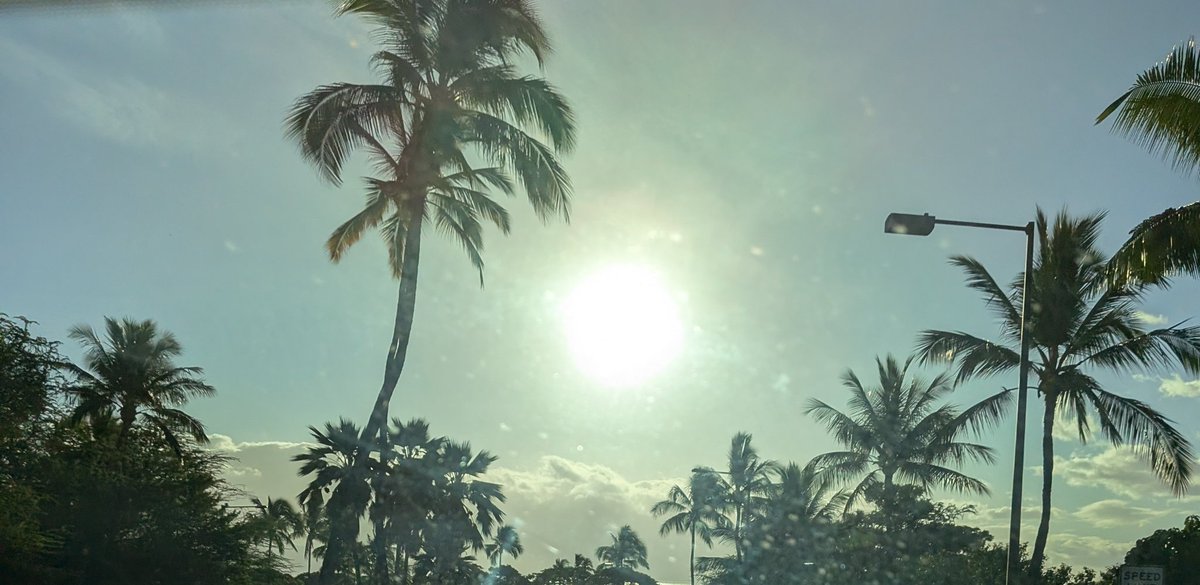 GencoBen's tweet photo. Hawaii sounds nice right now https://t.co/5c66JEga9Z