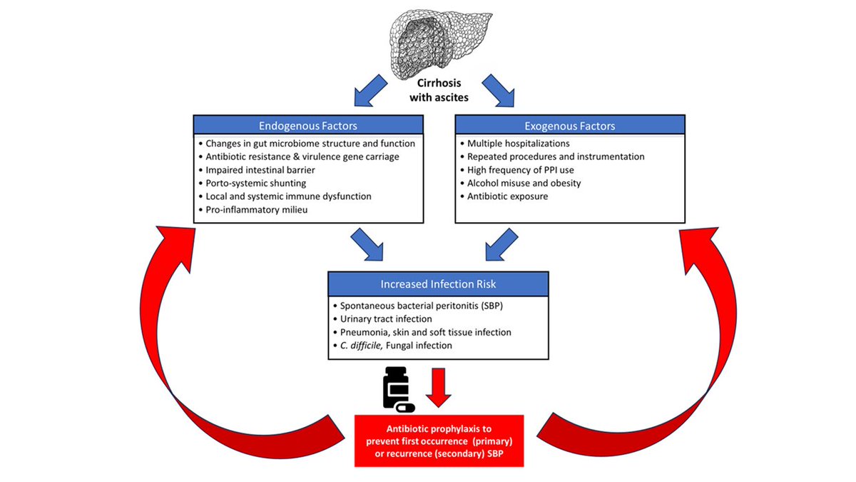 #ASEPTIC=final nail in⚰️#SBPproph in #cirrhosis..but the fight vs #AMR is brewing for a while. 
pubmed.ncbi.nlm.nih.gov/36645215
pubmed.ncbi.nlm.nih.gov/30694868
pubmed.ncbi.nlm.nih.gov/35041634
pubmed.ncbi.nlm.nih.gov/40653111
pubmed.ncbi.nlm.nih.gov/39895304
<a href="/ABsteward/">Antibiotic Steward Bassam Ghanem 🅱️C🆔🅿️🌟</a> <a href="/PaulSaxMD/">Paul Sax</a> 
Times are changing &amp; ID/hep are together!