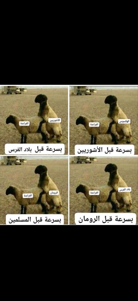 عبدالله | صل عالنبي| النبذة 🖤 tweet media