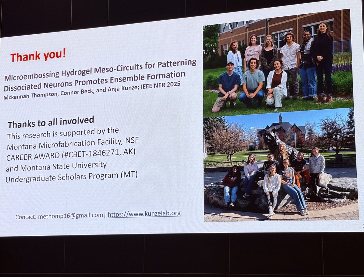 Anja Kunze, Ph.D. tweet media