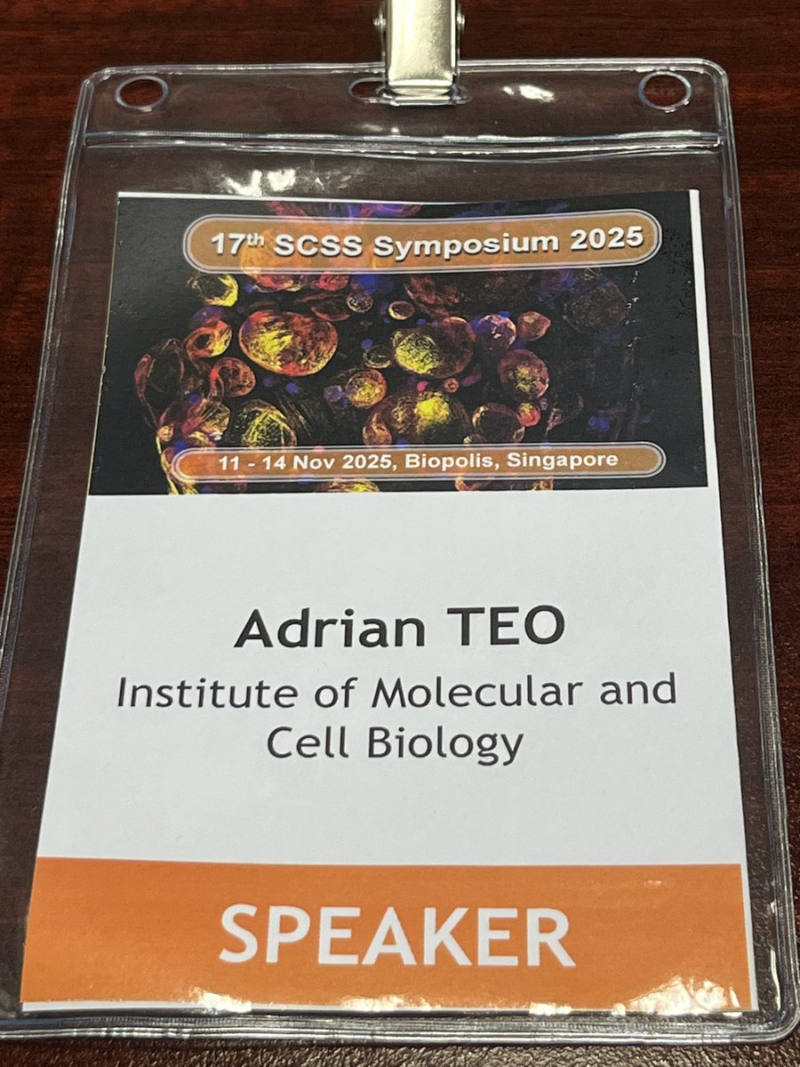 Adrian Teo tweet media