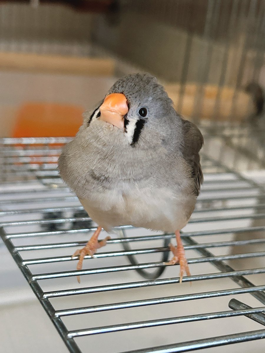 みっちゃん❤️ プリティ美鳥ちゃん