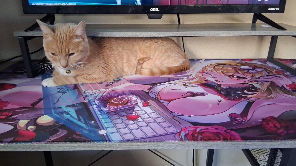 d3kota's tweet photo. Hello everynyan how are you?
Im fine thanks you https://t.co/ld3lu64F9G
