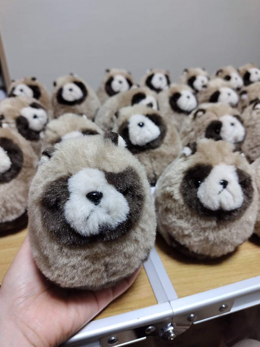 ばんばぱえりあ＠新著『ことりのぬいぐるみ』 (@banmof) / Posts / X