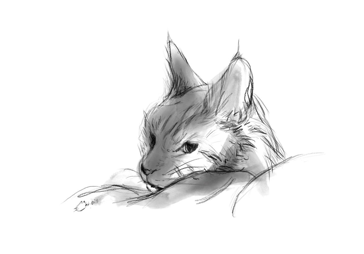 TRNK / ちびっと tweet media