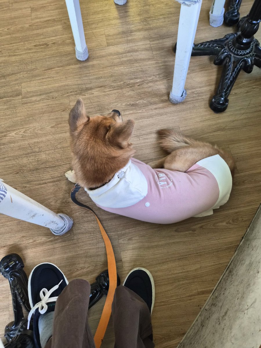 그런 날이 있지. 카페 문을 조심스레 노크하고 걱정 반 기대 반으로 혹시 강아지랑 들어가도 될까요? 하고 물을 때 활짝 웃으며 "그럼요!" 하는 반응을 마주하는 날.

매일 행복할 순 없지만 행복한 일은 매일 있다는 걸 알게 되는 그런 날