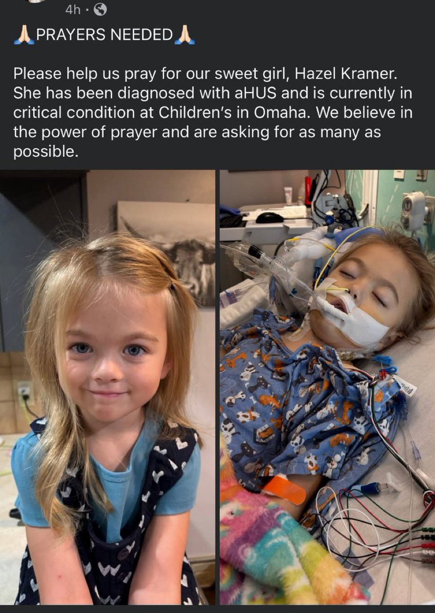 Mr PitBull tweet media