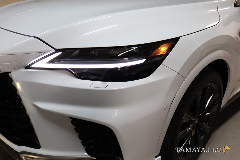 TAMAYA.LLC tweet media