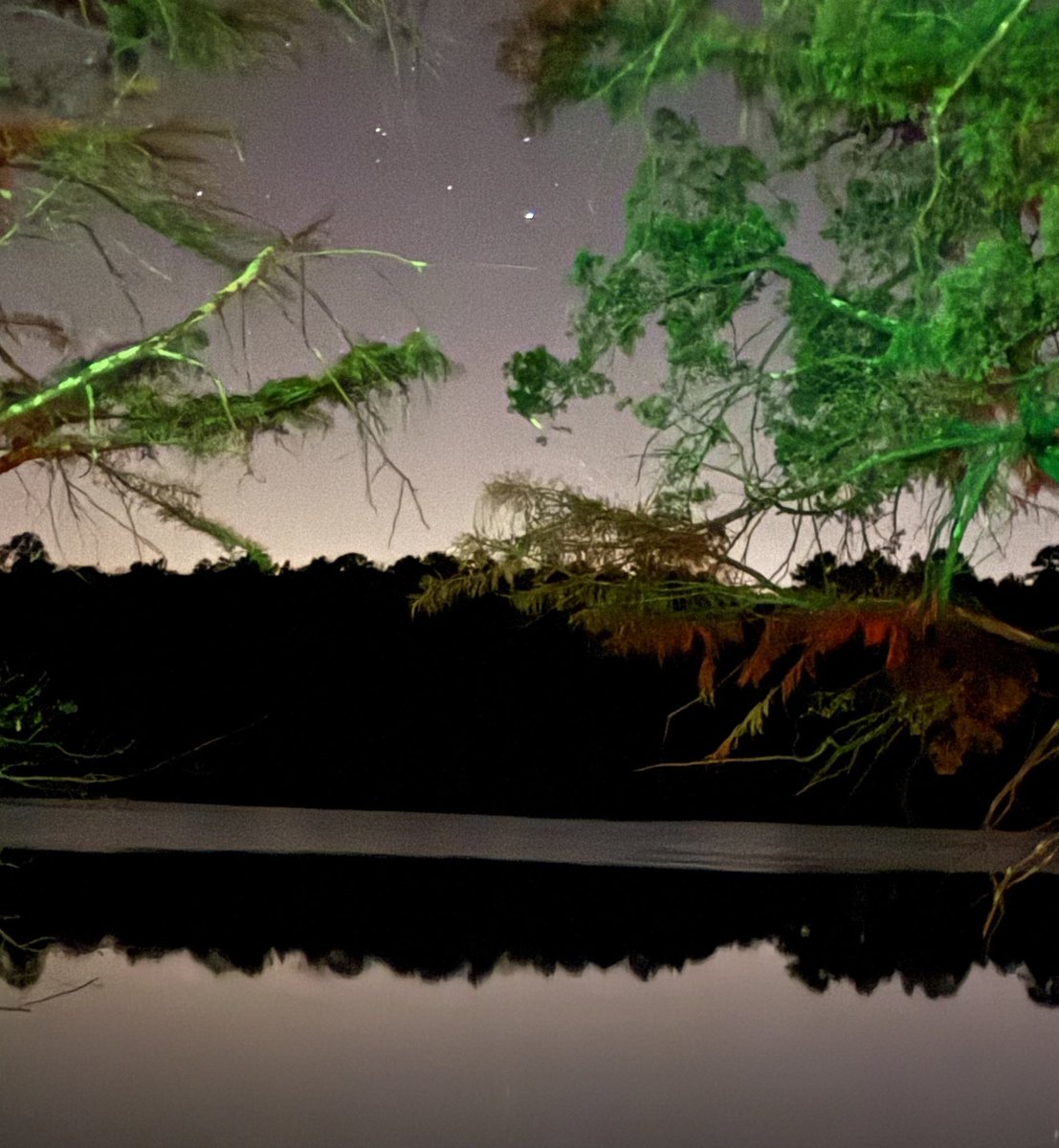 mbloveroadtrips's tweet image. The sky has a purple hue over Cheraw State Park in South Carolina. Could it be from the northern lights?