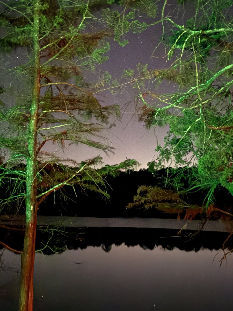mbloveroadtrips's tweet image. The sky has a purple hue over Cheraw State Park in South Carolina. Could it be from the northern lights?