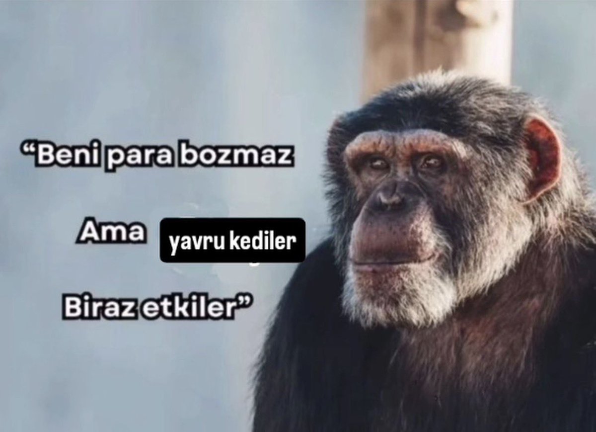 ANLIK (@anlikmod) on Twitter photo 