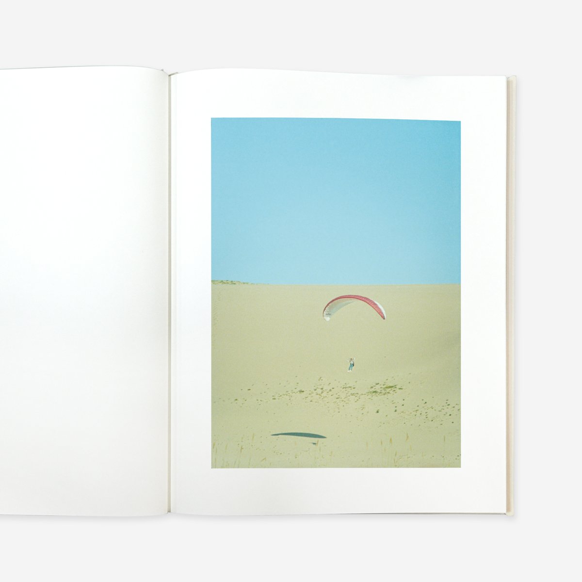 太陽　野口里佳 太陽 野口里佳： The Sun Noguchi Rika】野口里佳 新品 絶版 希少本