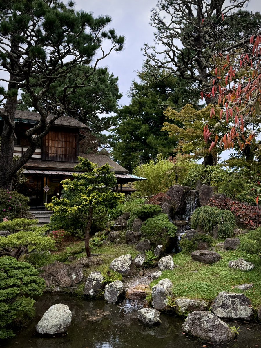 html5cat's tweet image. 