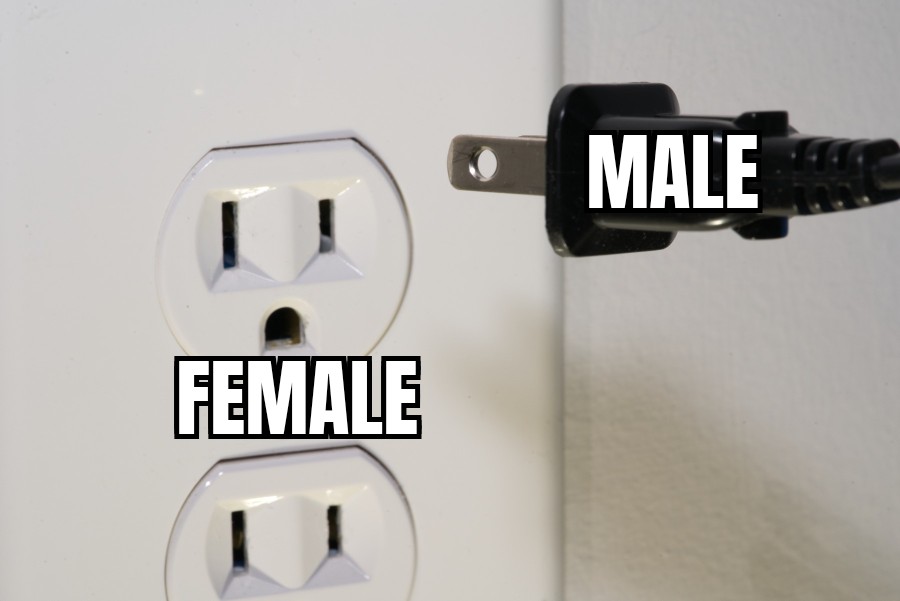 <a href="/ClownWorld/">Clown World ™ 🤡</a> it's pretty simple guys