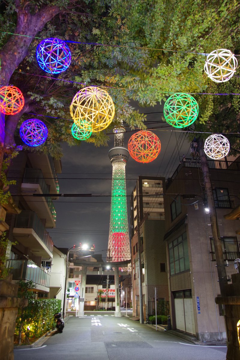 牛嶋神社 2025年11月8日（土） 風で舞う♪ スカイツリー 東京スカイ