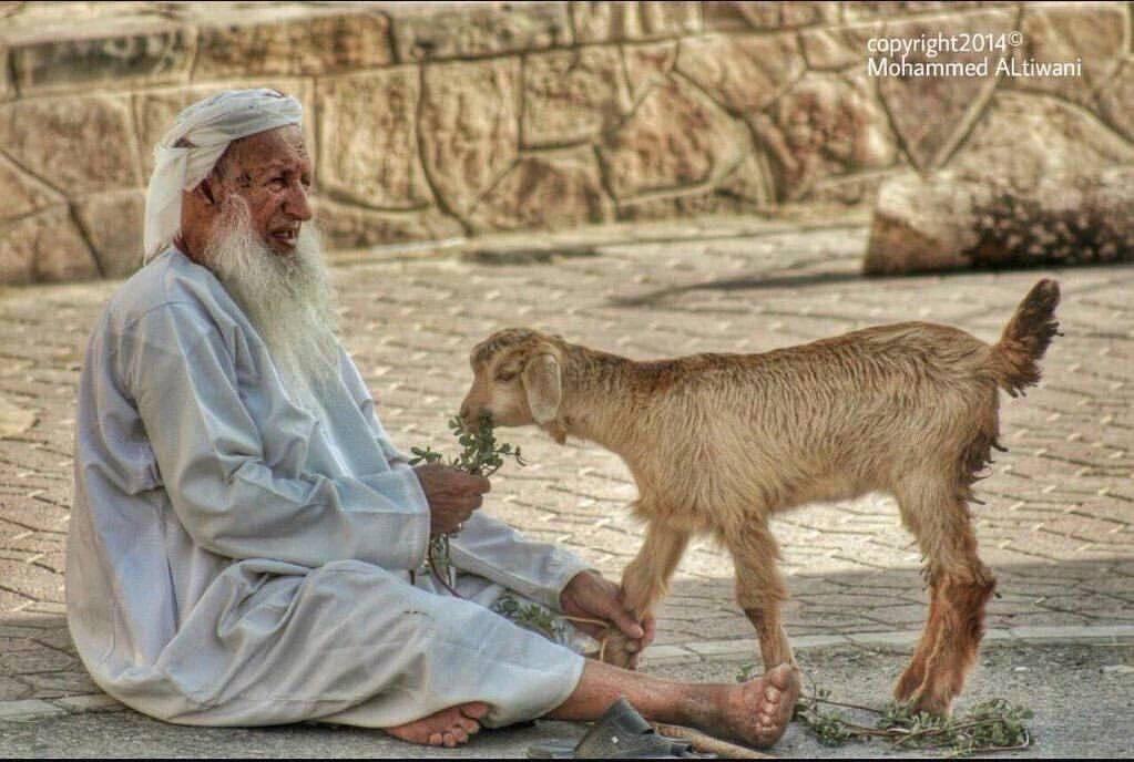 _M2_M1's tweet image. اللهم لا تجعلني ممن ينساك في نعمته
ولا يذكرك إلا في شدته، وأجعلني قريباً
منك شاكراً لك في كل الظروف🤲🏻🍂

#صباح_الخير 
#ملامح_عُمانية