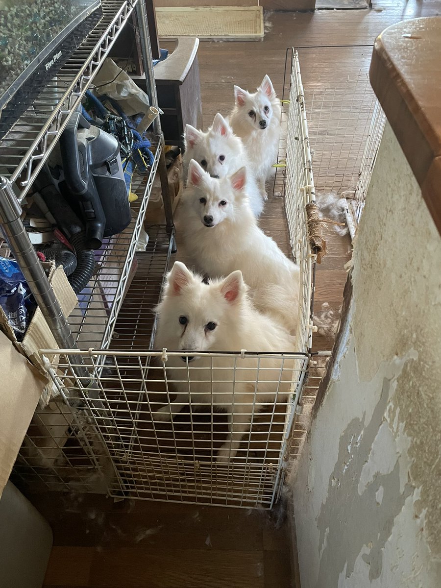 ジャスミン (@jasmine02061986) / Posts / X